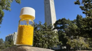 A small vial of yellow powder placed on a stone infront of UC berkeley building