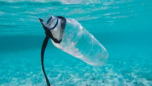 an empty plastic bottle floating in the ocean