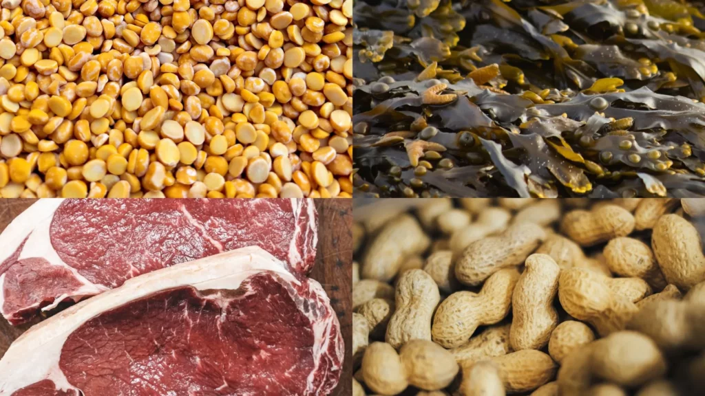 photo collage of lentils, seaweed, meat, and peanuts