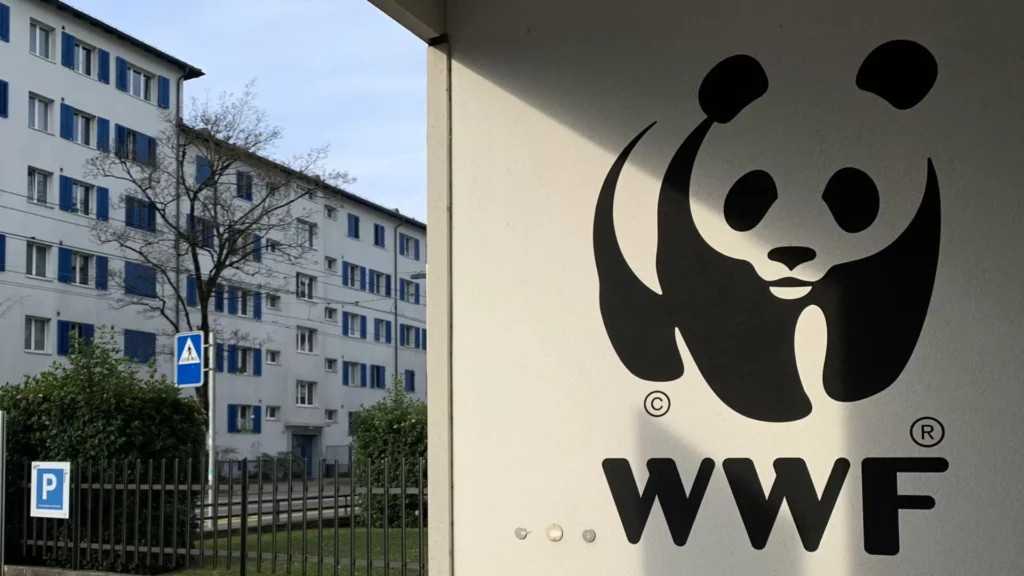 photo of wwf office building