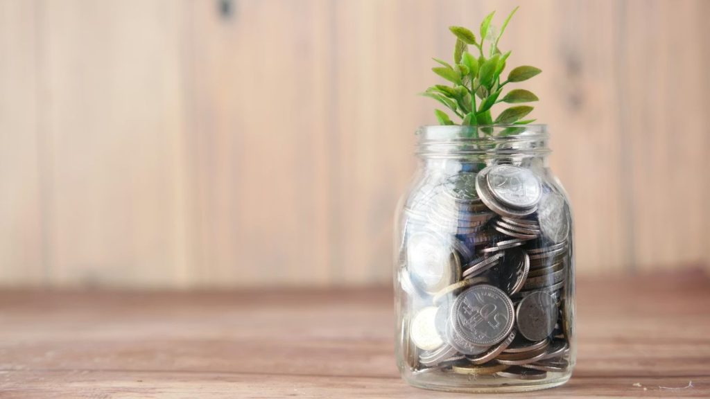 Coins in a jar with green leaves shooting up
