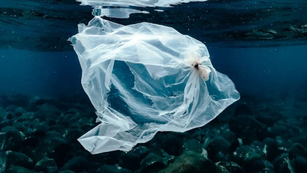 Plastic bag in sea