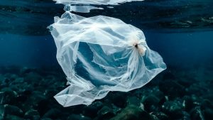 Plastic bag in sea