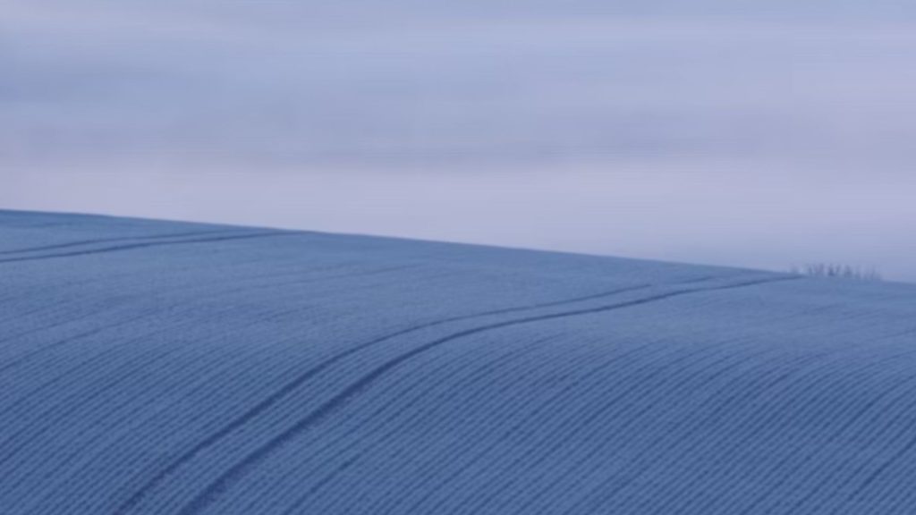 field of crops in winter